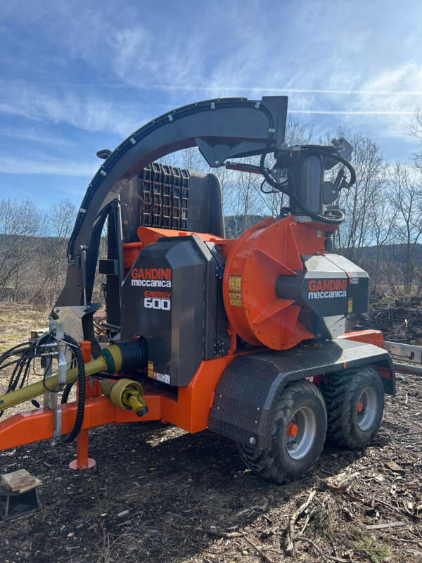 Tocător de lemn Gandini Meccanica 600, Anul 2024